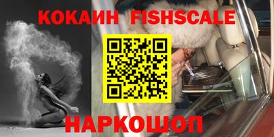 стаф Донецк