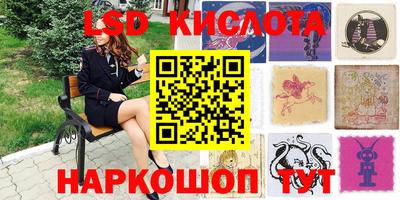 стаф Донецк