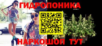 стаф Донецк