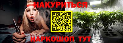 стаф Донецк