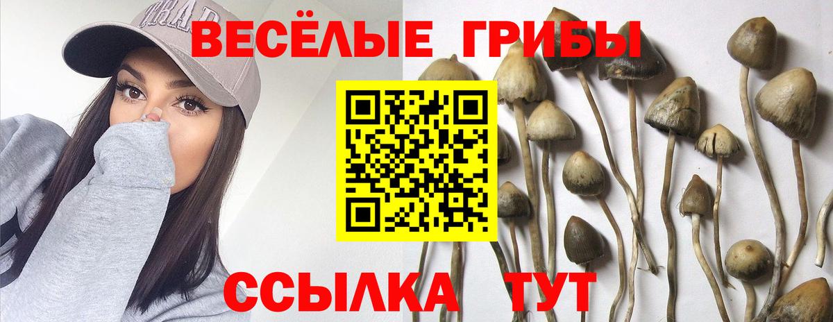 Назарово  Галлюциногенные грибы ЛСД  Вход с VPN  магазин    Галлюциногенные грибы ЛСД 